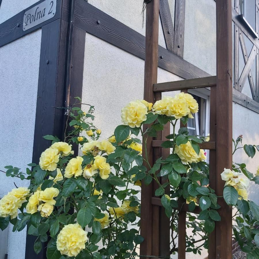 Nadmorskie Apartamenty Ustka Buitenkant foto