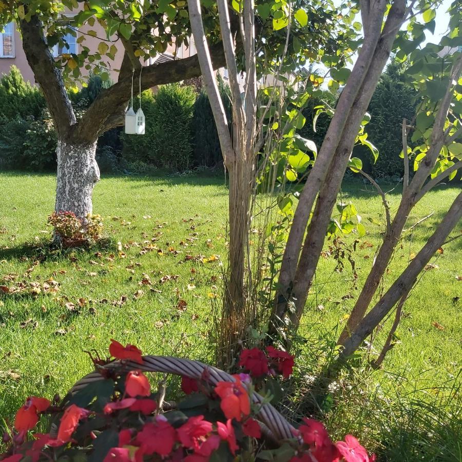 Nadmorskie Apartamenty Ustka Buitenkant foto