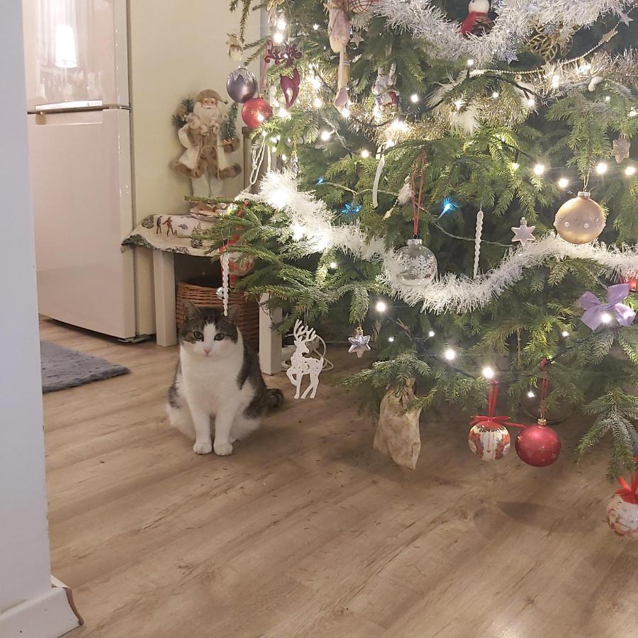 Nadmorskie Apartamenty Ustka Buitenkant foto